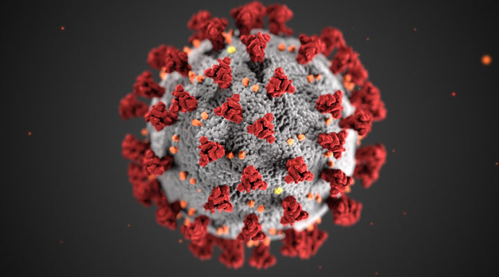 Vaccine Design For Novel Coronavirus 2019-nCoV