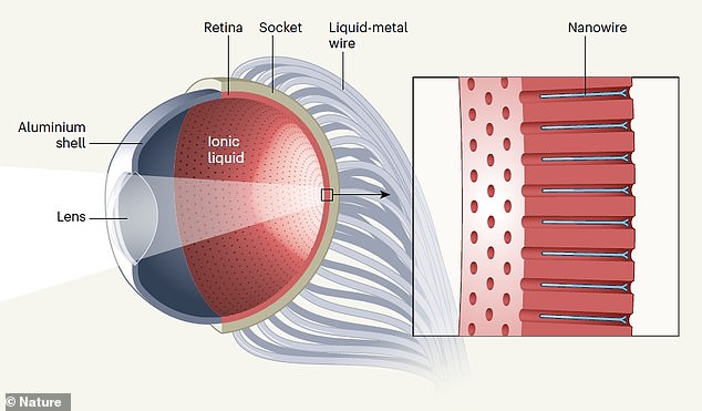 Researchers Reveal A Bionic Eye Which Is Better Than A Real One
