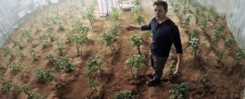 Growing Potatoes on Mars Could Actually Work, Says NASA-Backed Experiment