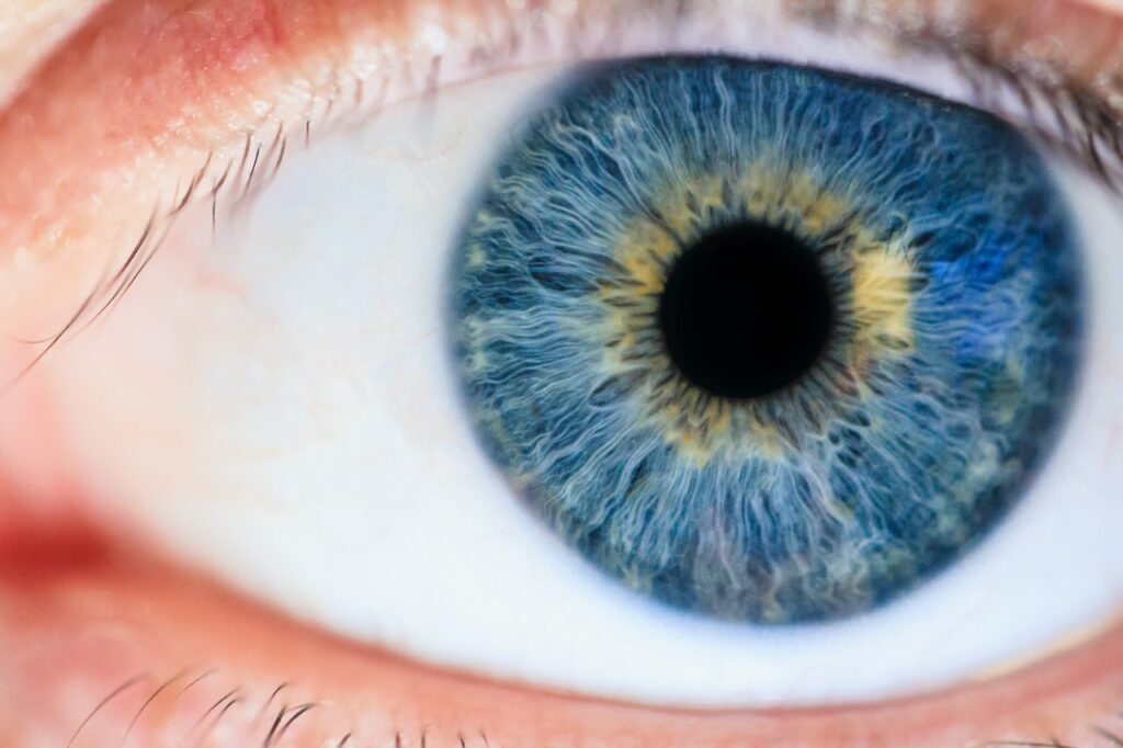 Researchers Find A New Signal Which Our Eye Sends To Brain