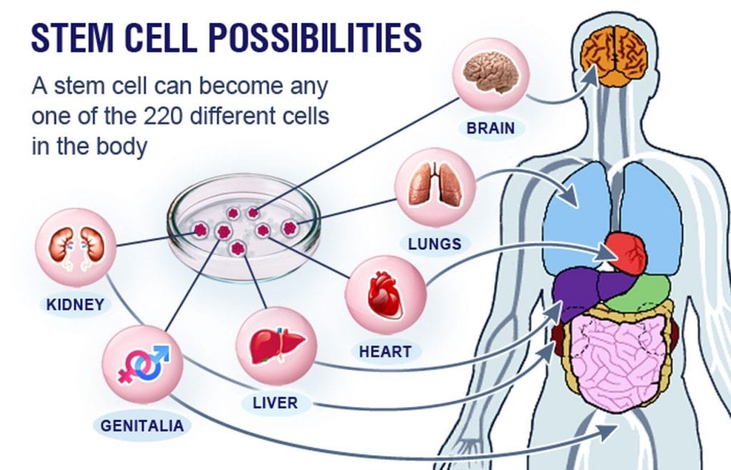 stem cell therapy results at bluetail medical group