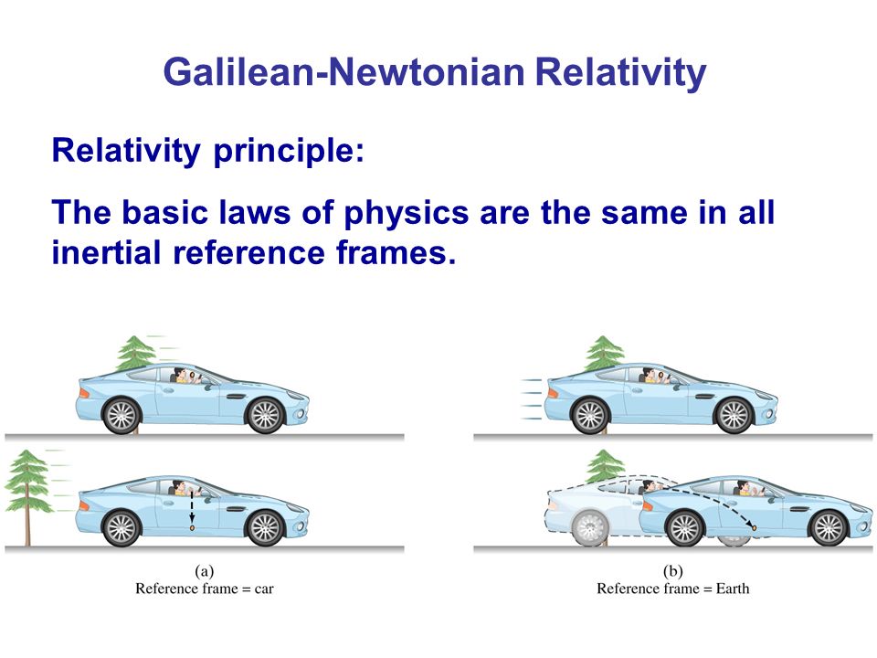 Principles of Galilean and Newtonian relativity