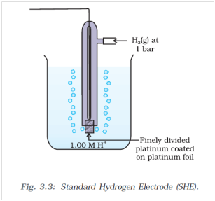 Standard Hydrogen Electrode