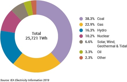 World Electricity Production by Source