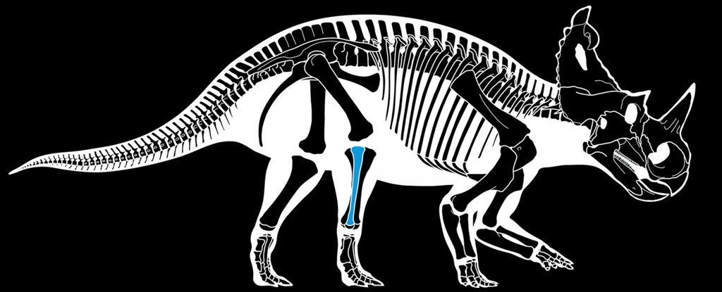 Researchers Find The First Confirmed Case of Aggressive Bone Cancer in a Dinosaur