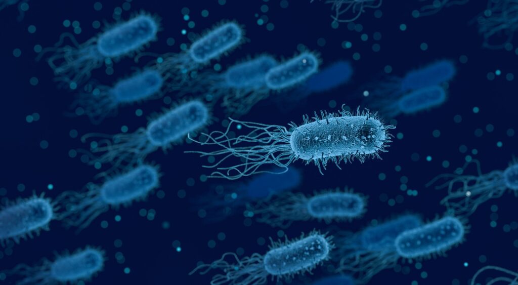 The Hidden Math of Bacterial Behavior