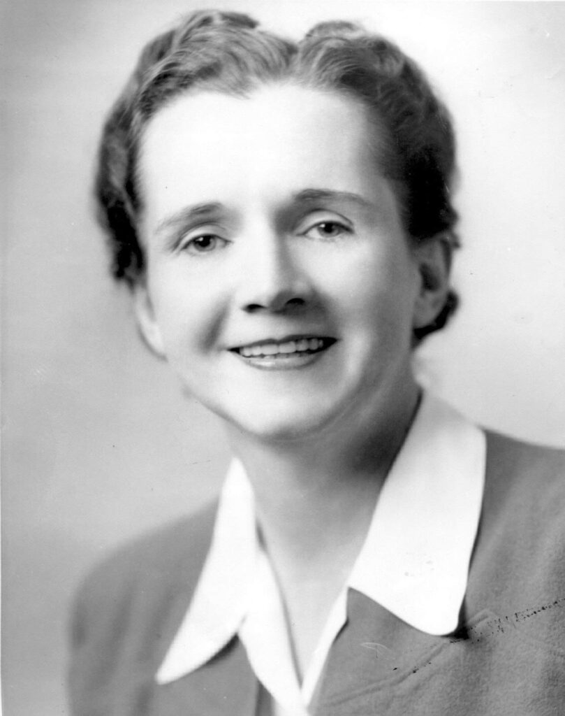 Rachel Carson in her U.S. Fish and Wildlife Service employee photo, 1940.