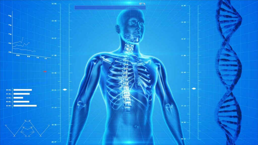 A 'skeletal age' calculator to predict bone fracture risk
